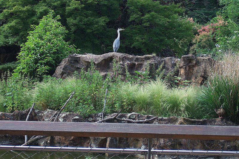 2010-06- (417).JPG